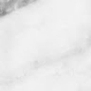 Meet your Posher, Tiana